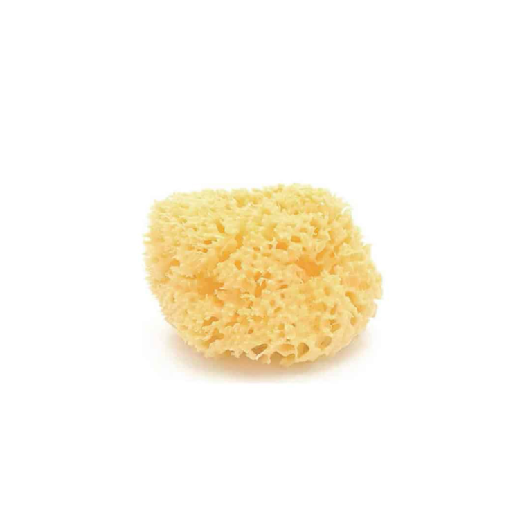 minicoton esponja